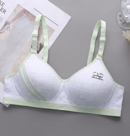 Japanese Style Small Chest Push Up Bra - Leverage On Heroes Women Store