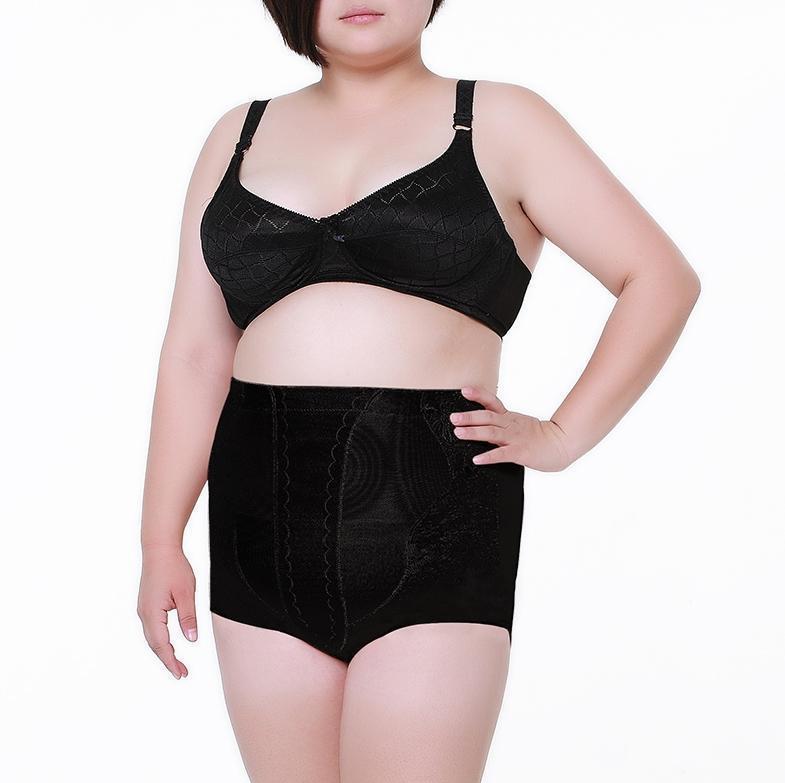 High Waist Plus Size Shaping Panty - Leverage On Heroes Women Store