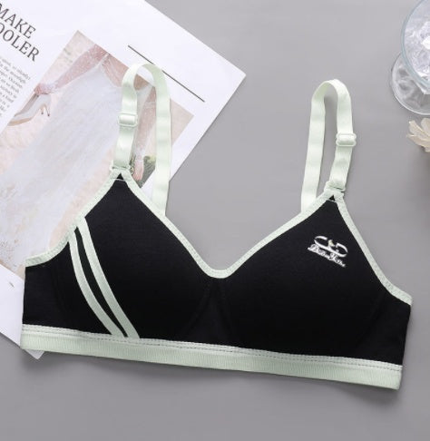 Japanese Style Small Chest Push Up Bra - Leverage On Heroes Women Store