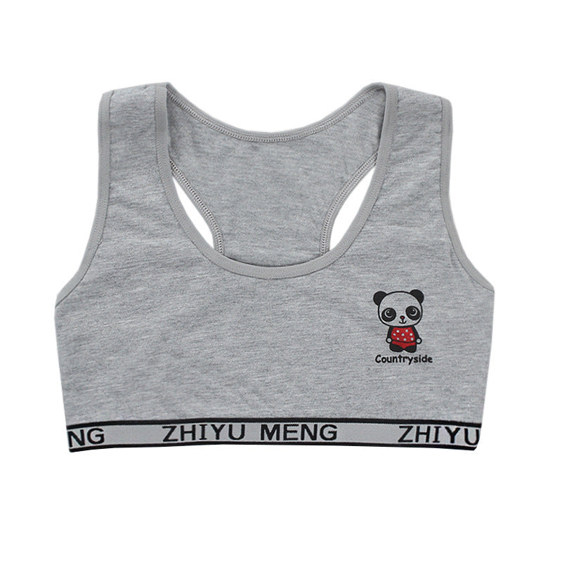 Children's Girl Bra Cotton Vest Underwear 8-16 Years Old 12 Developmental Girls - Leverage On Heroes Women Store