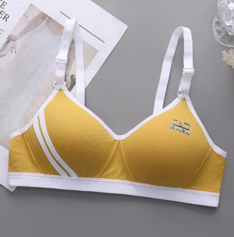 Japanese Style Small Chest Push Up Bra - Leverage On Heroes Women Store